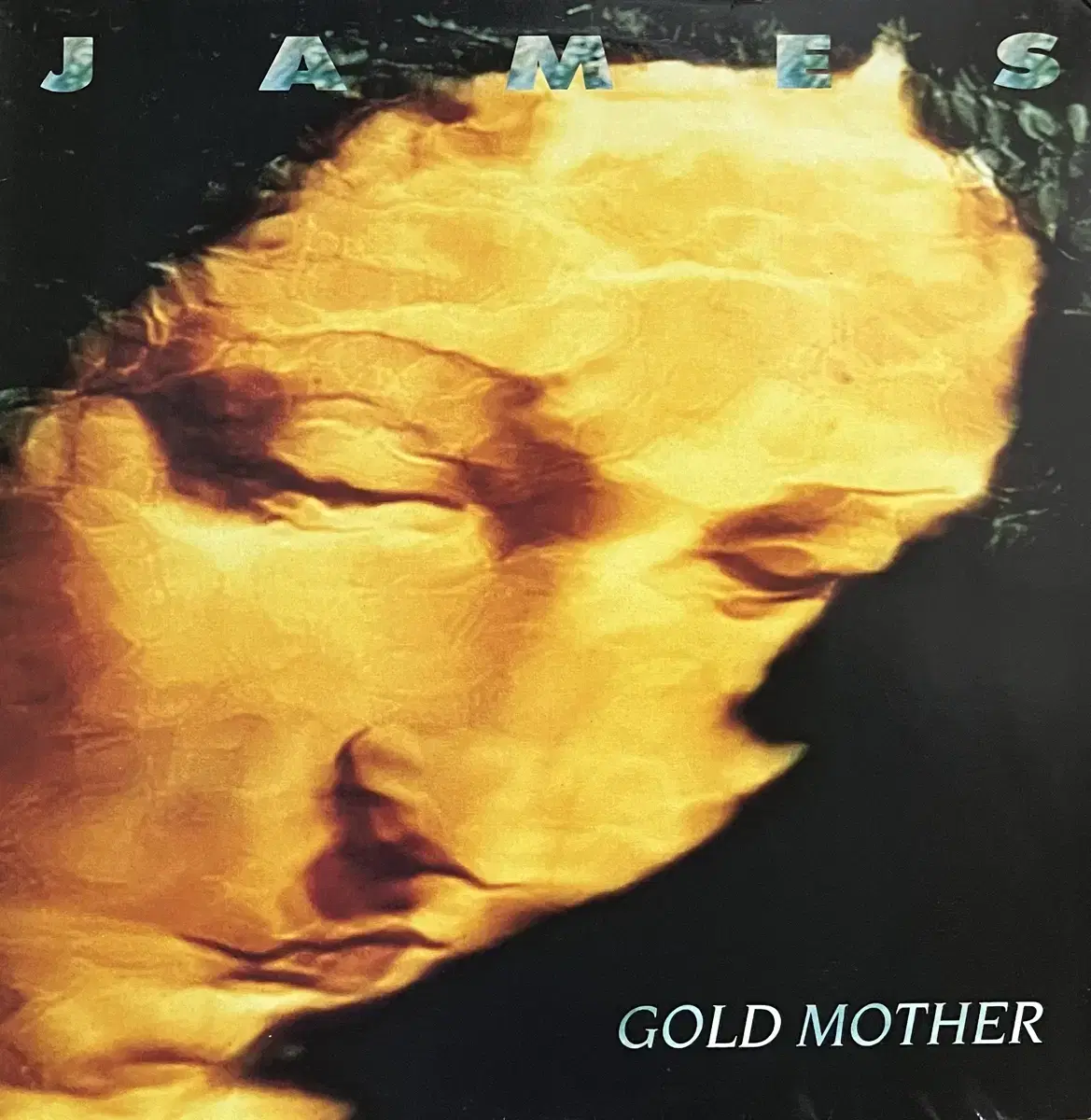 (쟁글팝)제임스 James -Gold Mother lp